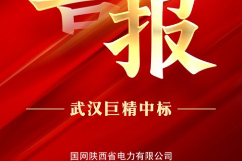 热烈祝贺利来国际中标国网陕西省电力有限公司2022年第三次物资集中规模招标采购项目