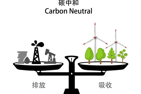 落实双碳行动 共建漂亮家园——利来国际“双碳”允许