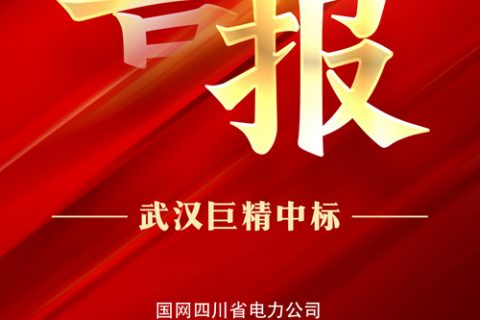 热烈祝贺利来国际中标国网四川省电力公司2022年第三次物资招标采购项目